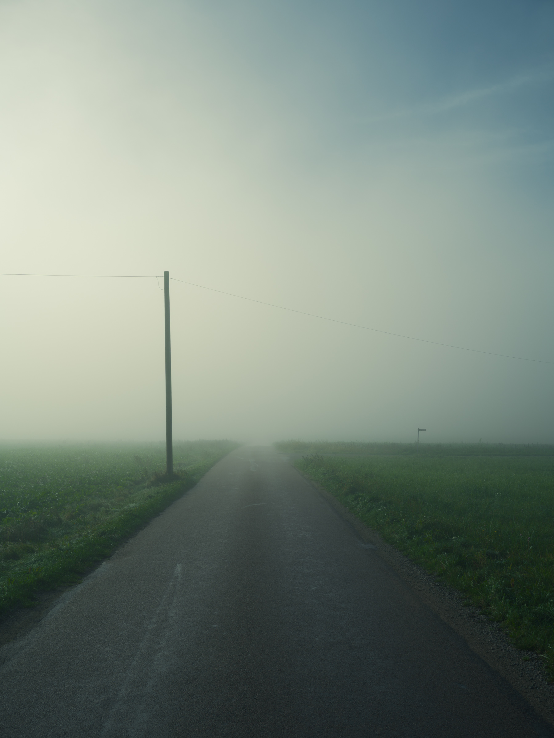 Foggy road
