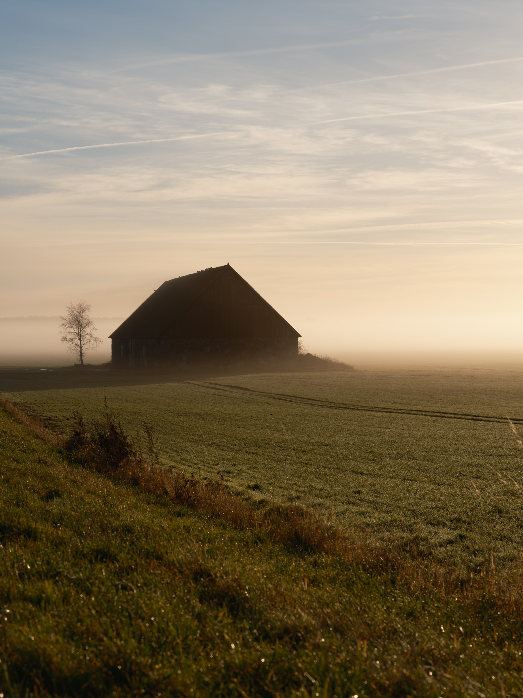 Barn in morning mist